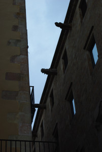 IMGP0281.JPG