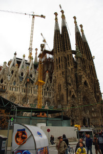 IMGP0286.JPG