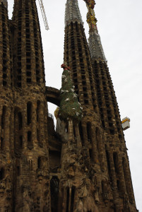 IMGP0287.JPG