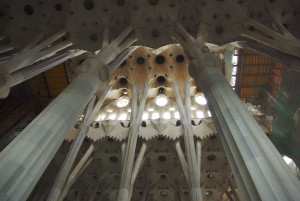 IMGP0291.jpg