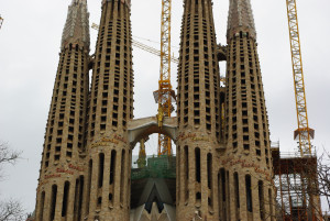 IMGP0293.JPG