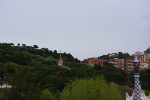 IMGP0301.JPG