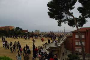 IMGP0304.JPG