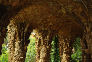 IMGP0315.JPG