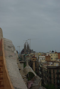 IMGP0348.JPG