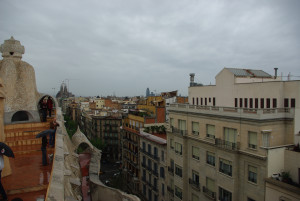 IMGP0351.JPG