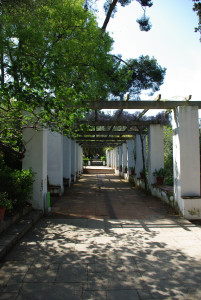 IMGP0400.JPG