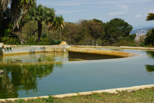 IMGP0418.JPG