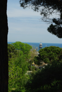 IMGP0425.JPG
