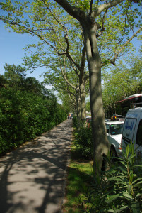 IMGP0436.JPG