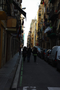 IMGP0449.JPG
