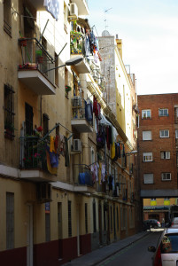IMGP0450.JPG