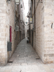 P1020544.JPG