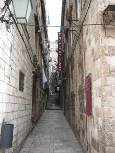 P1020546.JPG
