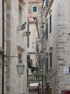 P1020556.JPG