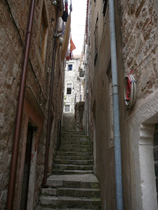 P1020575.JPG