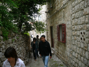 P1020577.JPG