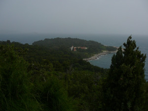 P1020614.JPG