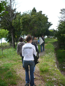P1020618.JPG
