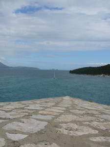 P1020699.JPG