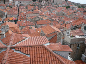 P1020715.JPG