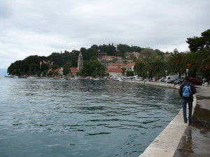 P1020727.JPG