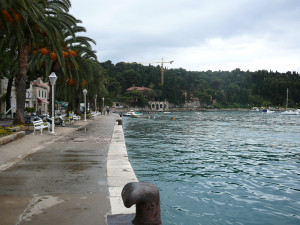 P1020728.JPG
