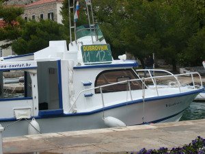 P1020731.JPG