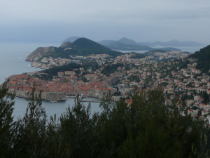 P1020734.JPG