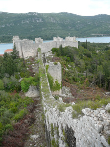 P1020741.JPG