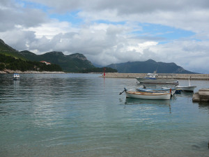 P1020746.JPG