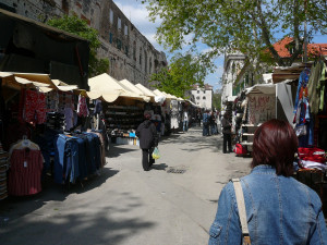 P1020785.JPG