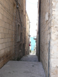 P1020800.JPG