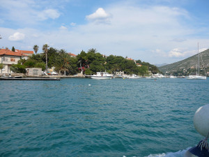 P1020816.JPG