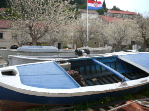 P1020821.JPG