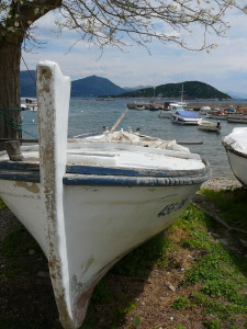 P1020834.JPG