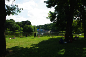 IMGP1226.JPG