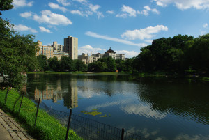 IMGP1227.JPG