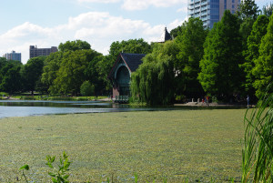 IMGP1228.JPG