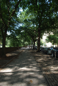 IMGP1232.JPG