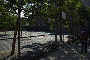 IMGP1236.JPG