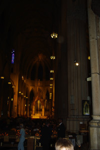 IMGP1295.JPG