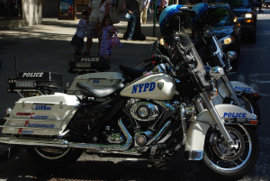 IMGP1296.JPG