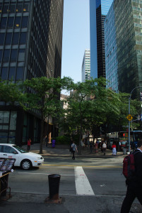 IMGP1564.JPG