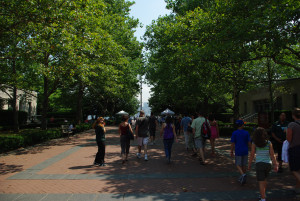 IMGP1590.JPG