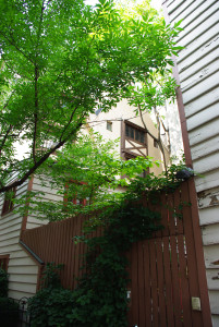 IMGP1644.JPG