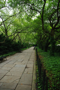 IMGP1682.JPG