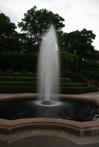 IMGP1683.JPG