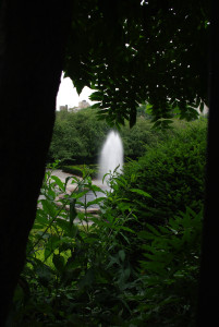 IMGP1684.JPG
