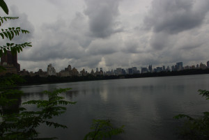 IMGP1699.JPG